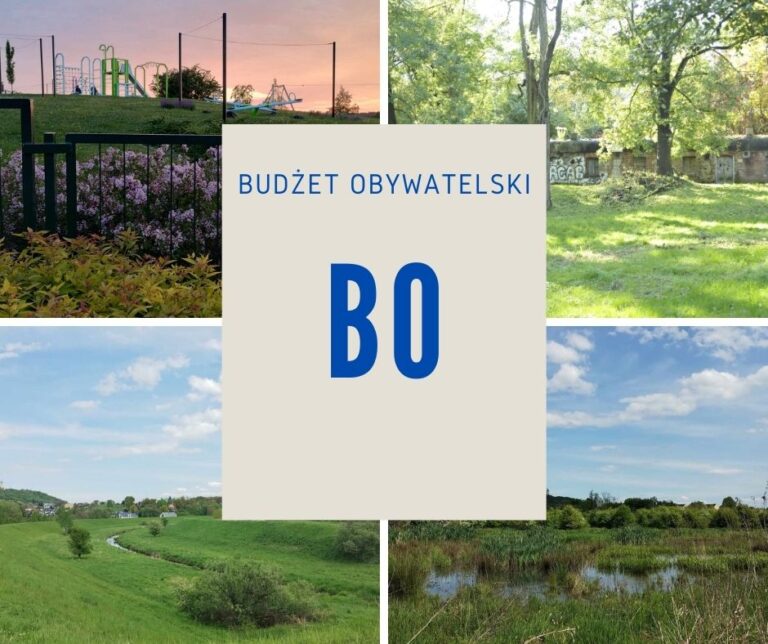 BO na co zagłosujemy