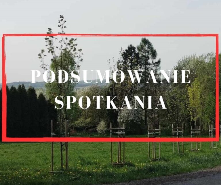 Ogród społeczny na Zakamyczu, podsumowanie spotkania z 13.06.2024