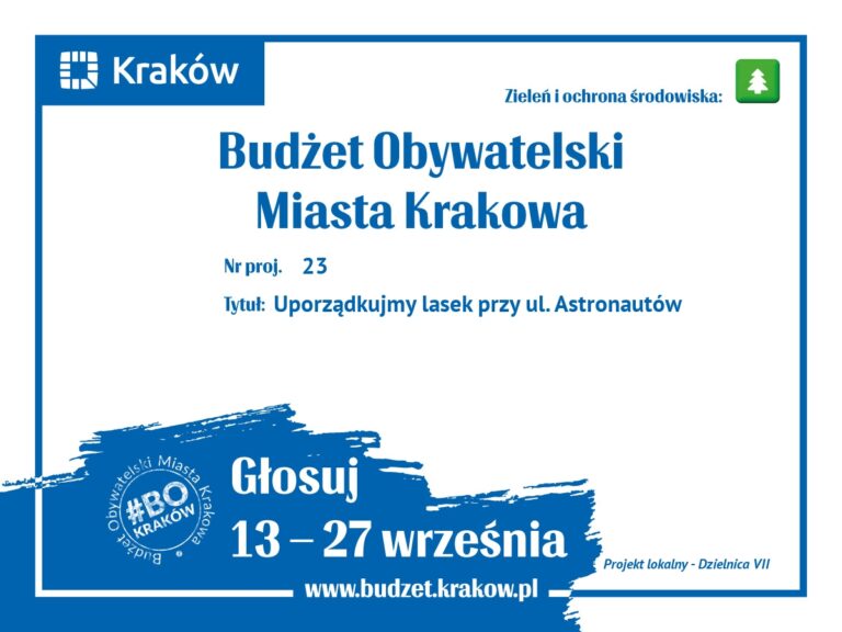 Na co zagłosujesz?