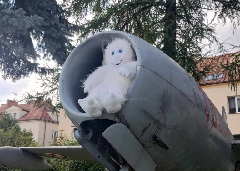 Czy leci z nami pilot?
