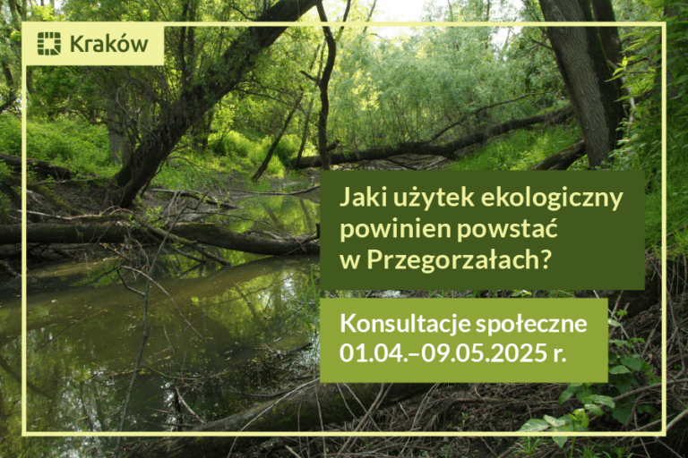 Konsultacje LAS ŁĘGOWY