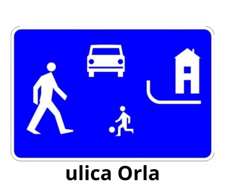 Projekt organizacji ruchu na Orlej