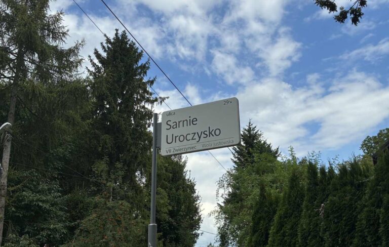 Maszt na Woli