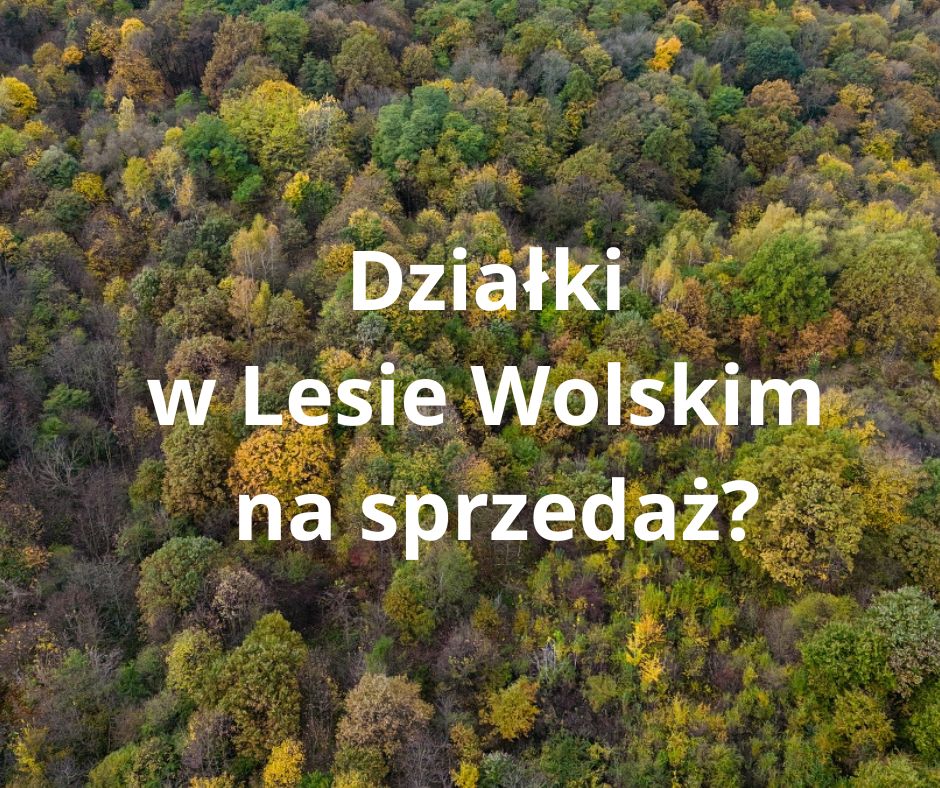Działki w Lesie Wolskim na sprzedaż?
