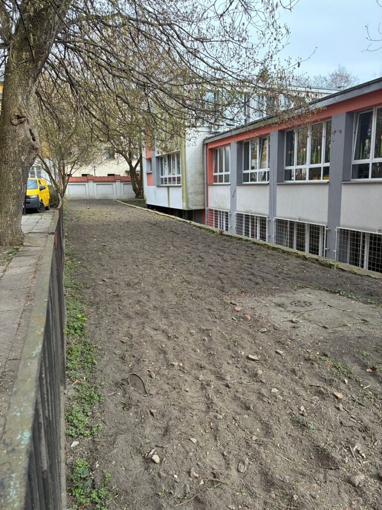 zdjęcie przekopanej ziemi w ogródku, już bez chwastów