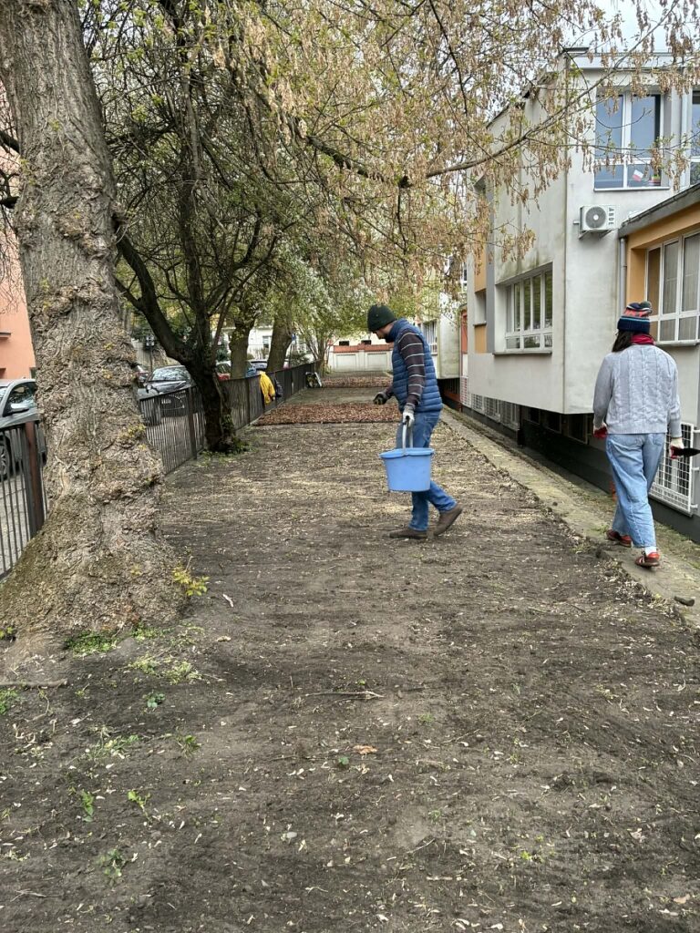 Wolontariusz Filip Piwowarczyk sieje trawę w ogródku przyszkolnym. 