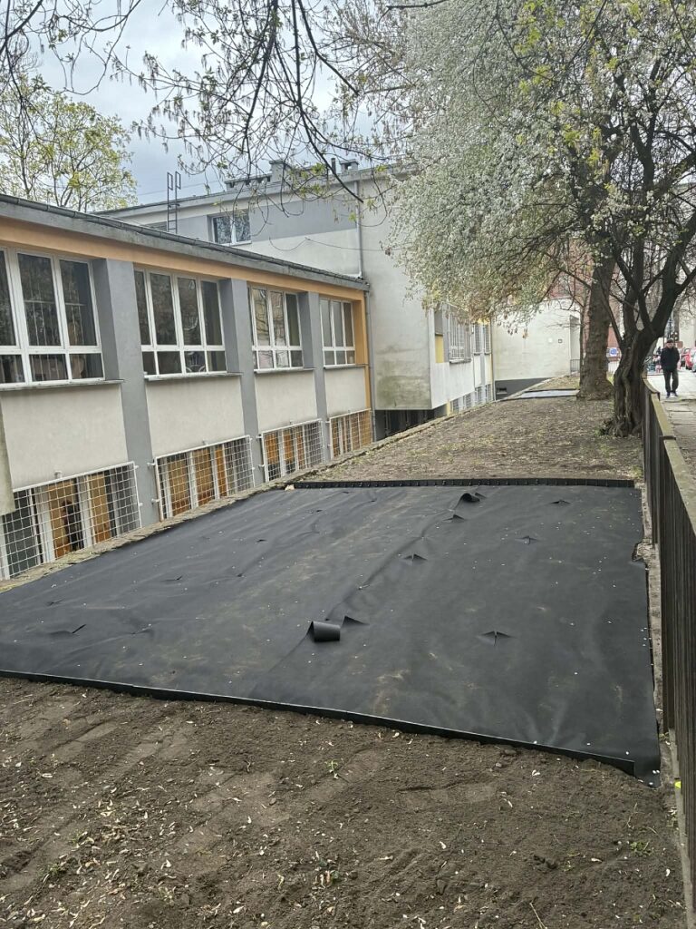 zdjęcia rozłożonej folii w ogródku z nacięciami pod nasadzenia hortensji i barwinków