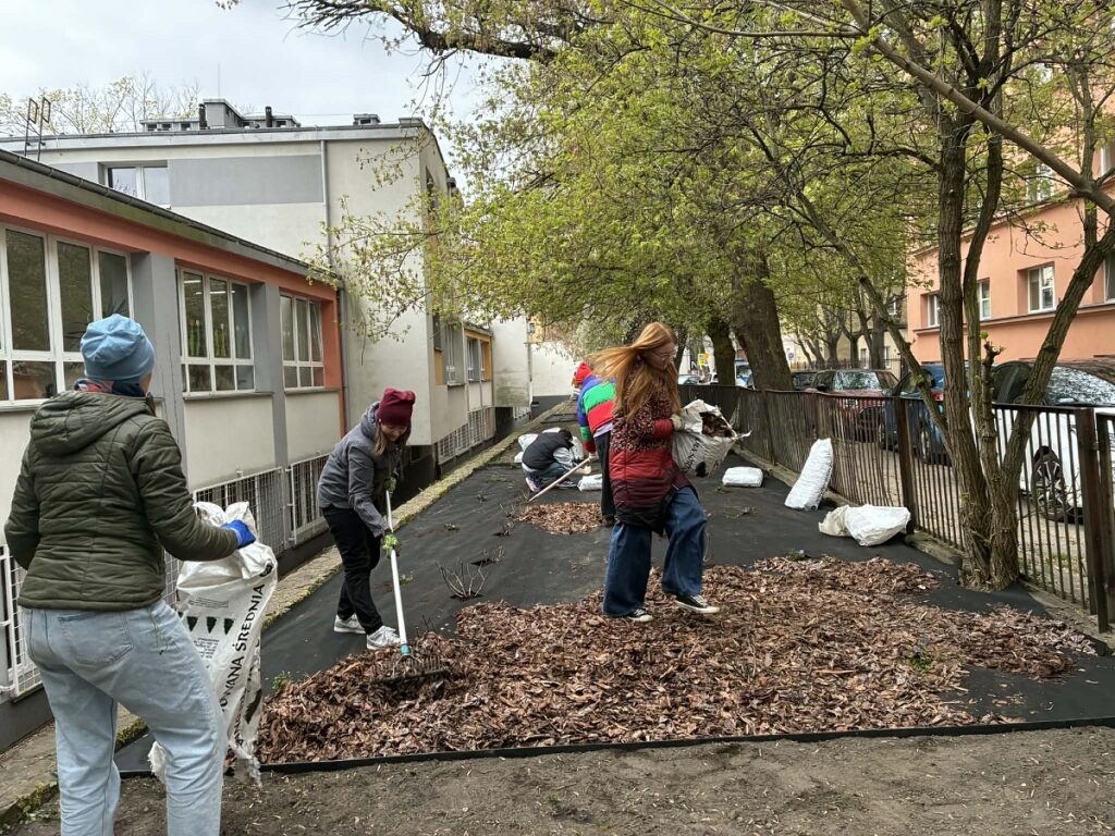 Wolontariuszki rozsypują korę w ogródku