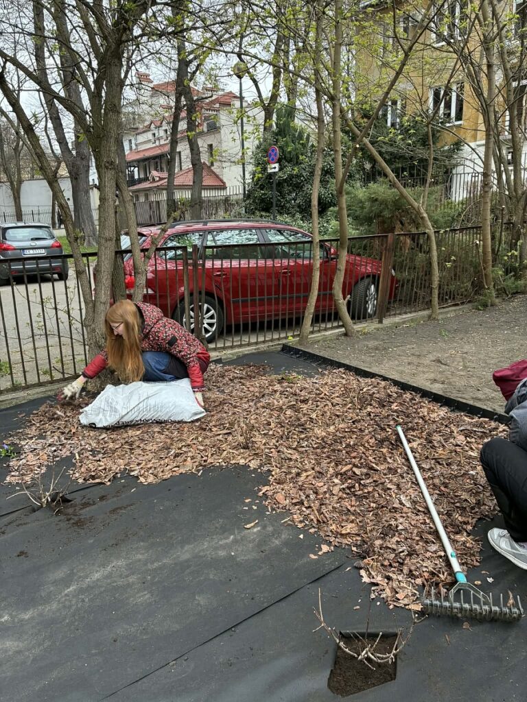 rozsypywanie kory w ogródku, praca dziewczyny z rudymi włosami