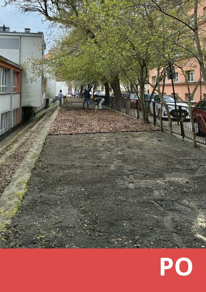 zdjęcie tego samego ogródka po uprzątnięciu go, wykonaniu nasadzeń kwiatów i rozłożeniu kory. 