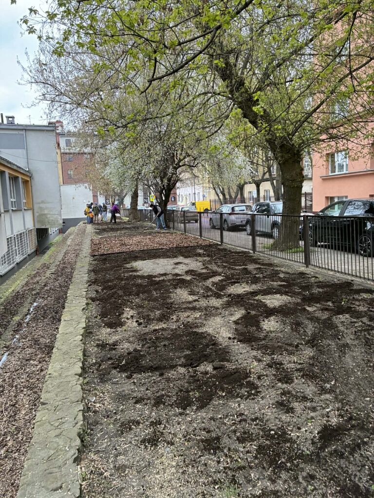 Chłopiec z ósmej klasy grabi ziemię w ogródku