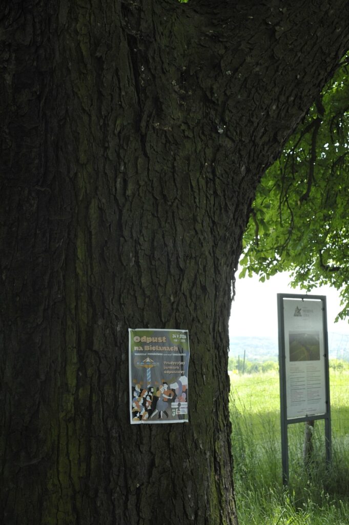 plakat odpustu na bielanach zaczepiony na drzewie 