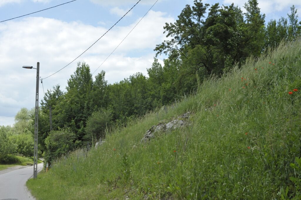 ul. Bielanska zielone górki