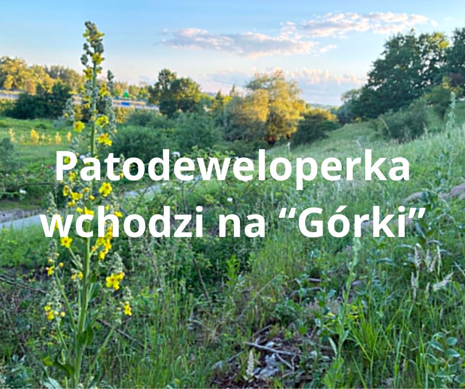 Patodeweloperka na Bielanach