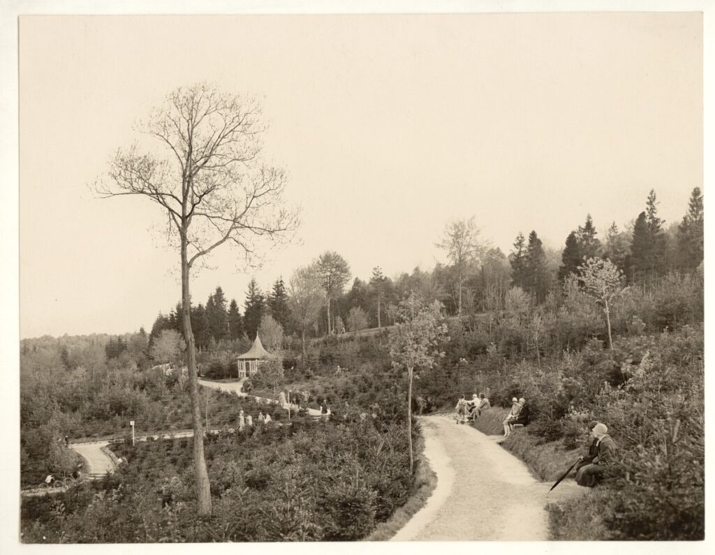 polana lea