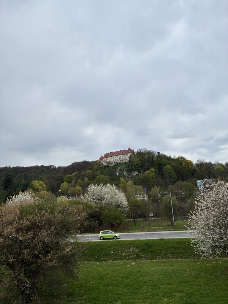 zamek w Przegorzalach i zarosniete skaly